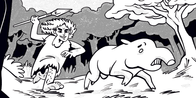 bicho por bicho banner